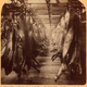 Image for article titled Utterly Disturbing, Century-Old Photos of Meat-Packing Facilities